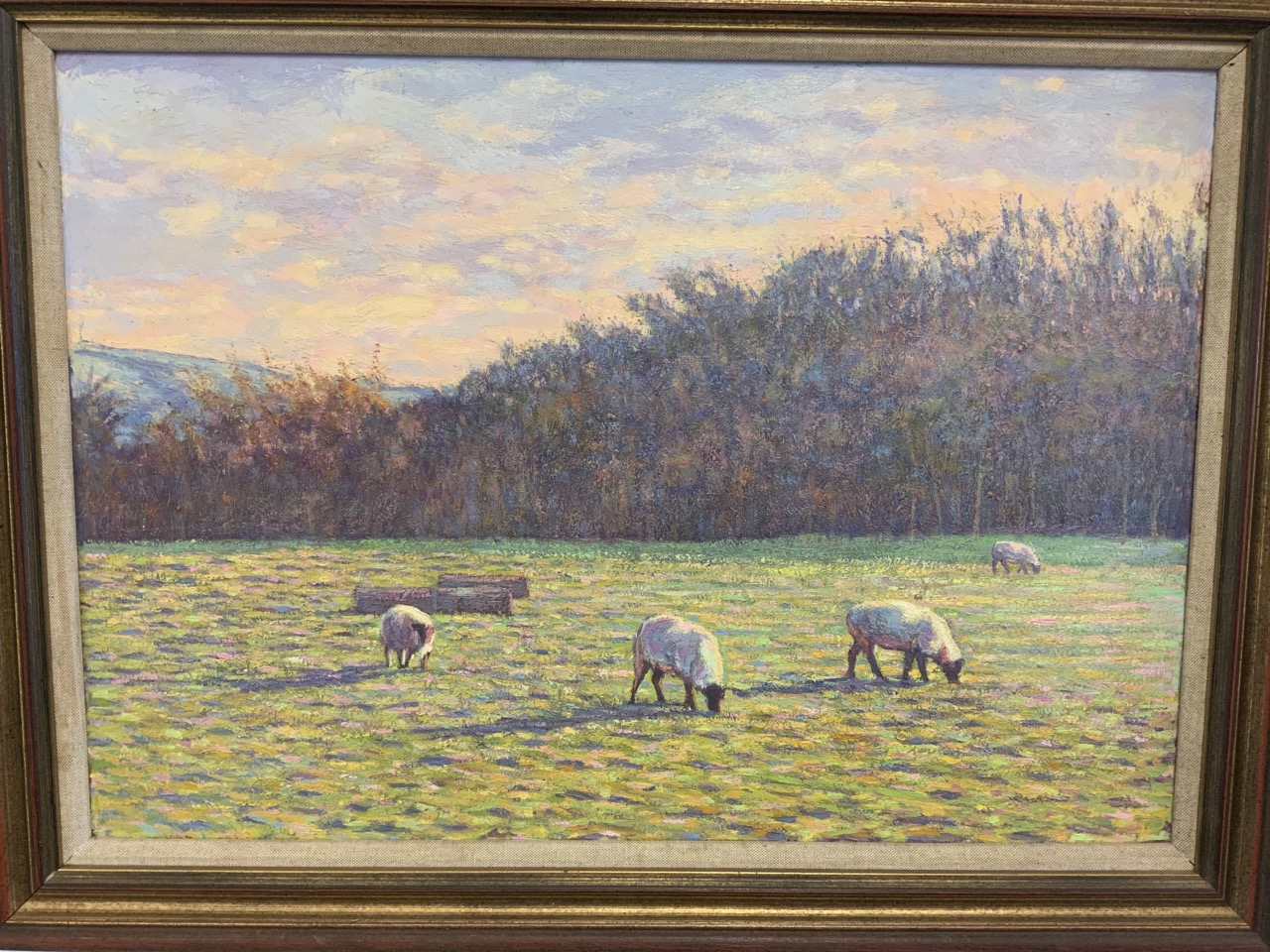 A 20th century oil on board in. Gilt frame and mount. Sheep and an avenging sunset. Unsigned.W: