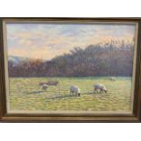 A 20th century oil on board in. Gilt frame and mount. Sheep and an avenging sunset. Unsigned.W: