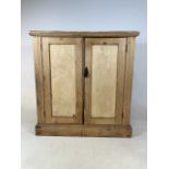 A Victorian pine low cupboard with two interior shelves. W:81cm x D:34cm x H:85cm