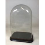 A vintage rectangular glass dome on wooden display base W:34cm x D:22cm Base dimensions W:29cm x