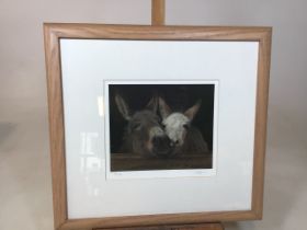 A limited edition print by Andrea Reynolds of donkeys. Marked 284 of 500 and signed in pencilW: