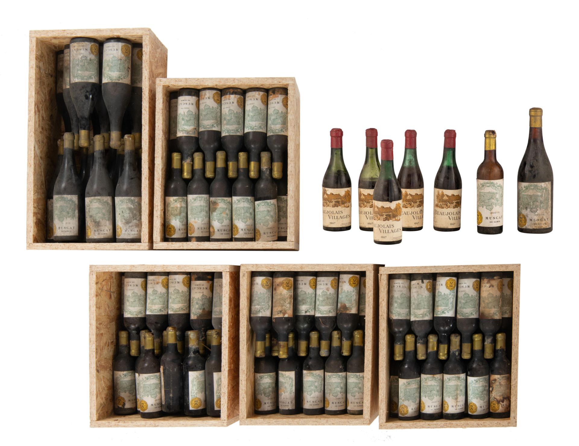 A series of J. Vandermeulen - DecanniŠre (Ostend - Belgium) bottled wines, 17 standard bottles Musca