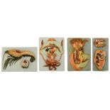 A collection of three anatomical models of nautical animals by Auzoux and one matching piece of a sq