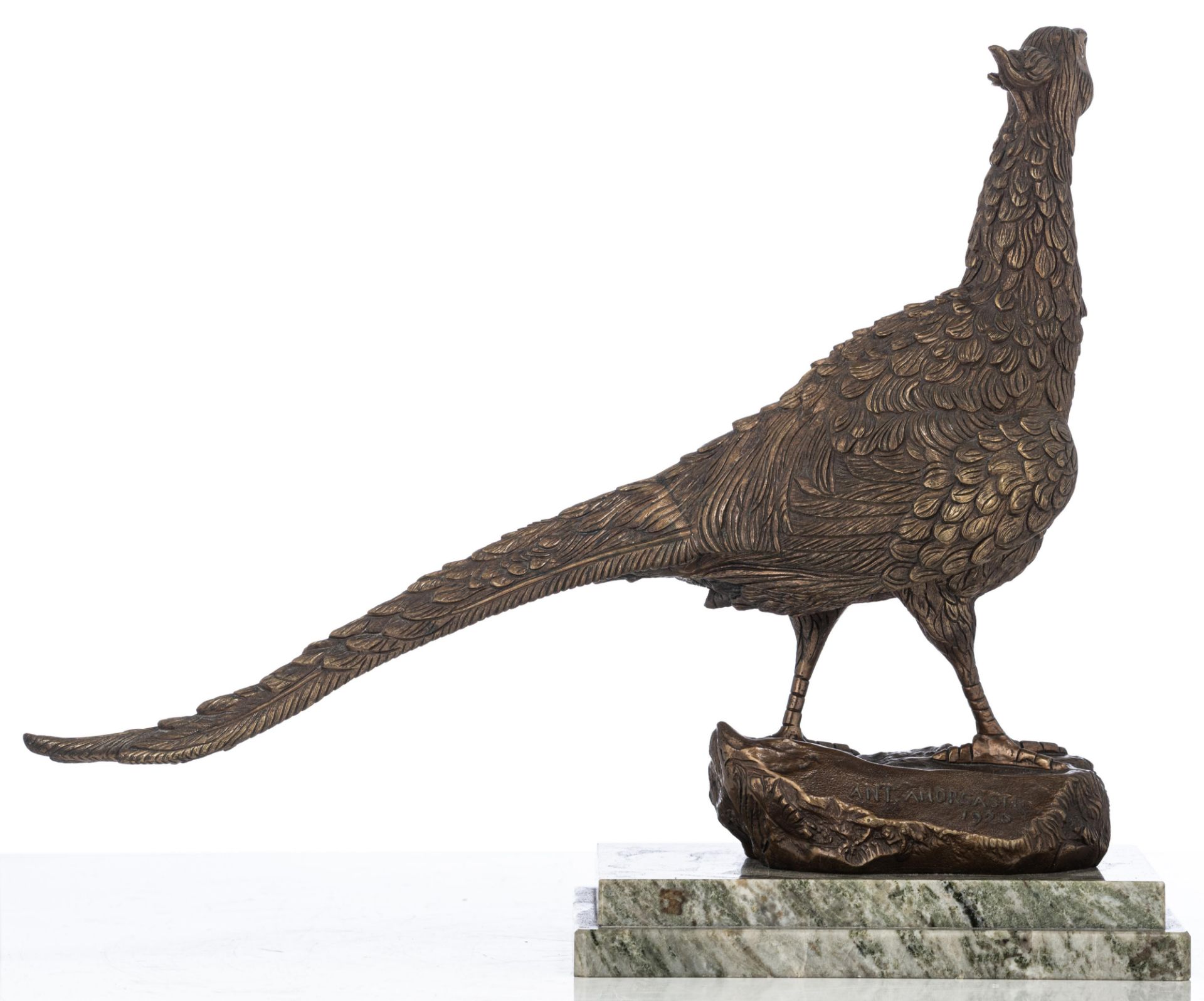 Amorgasti A., a pheasant, patinated bronze, on a green marble base, H (with base) 39 - (without base - Image 3 of 5