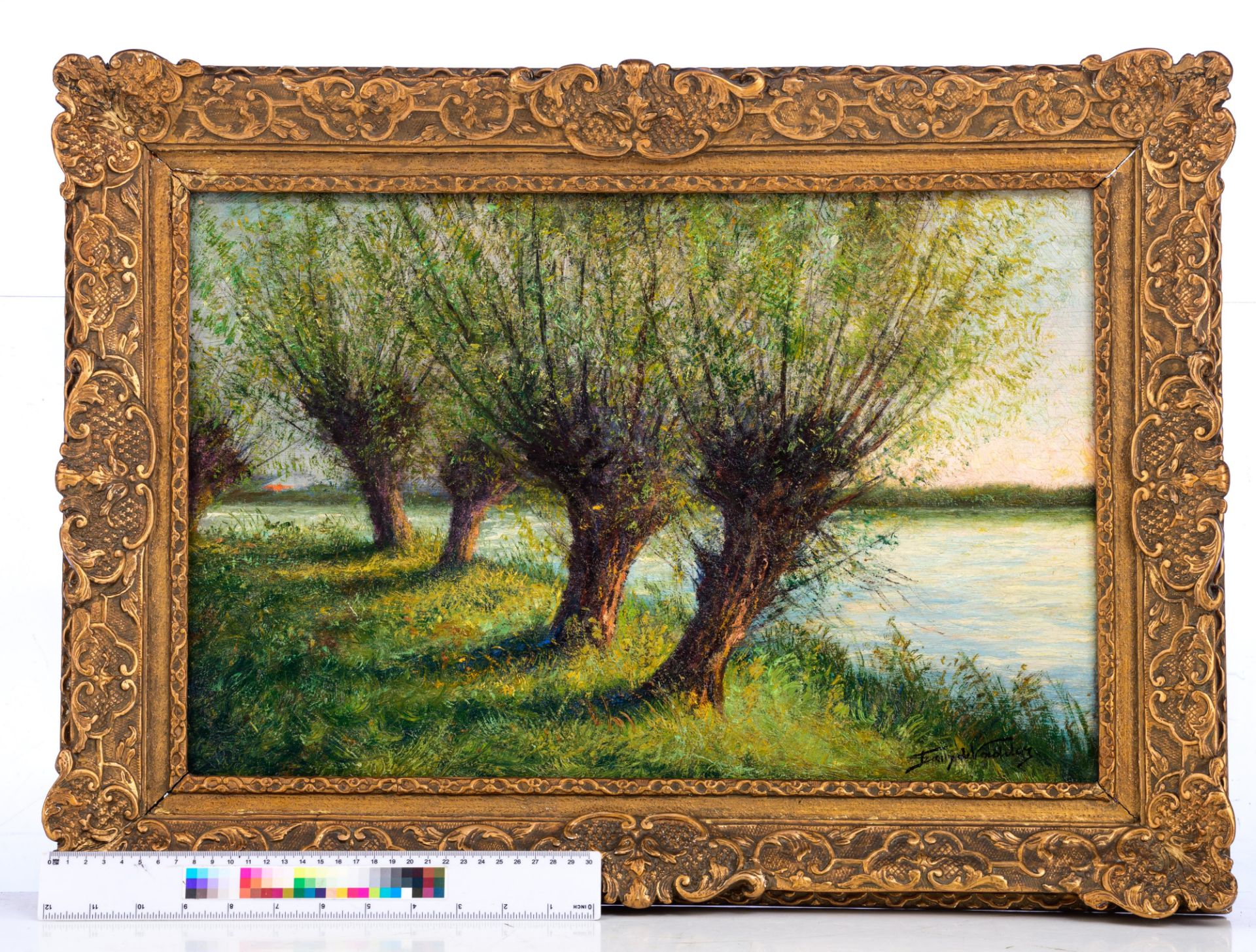 De Vadder F. pollard willows near the shore, oil on triplex, 35 x 53 cm. Added: Thiele K., a forest - Bild 7 aus 13