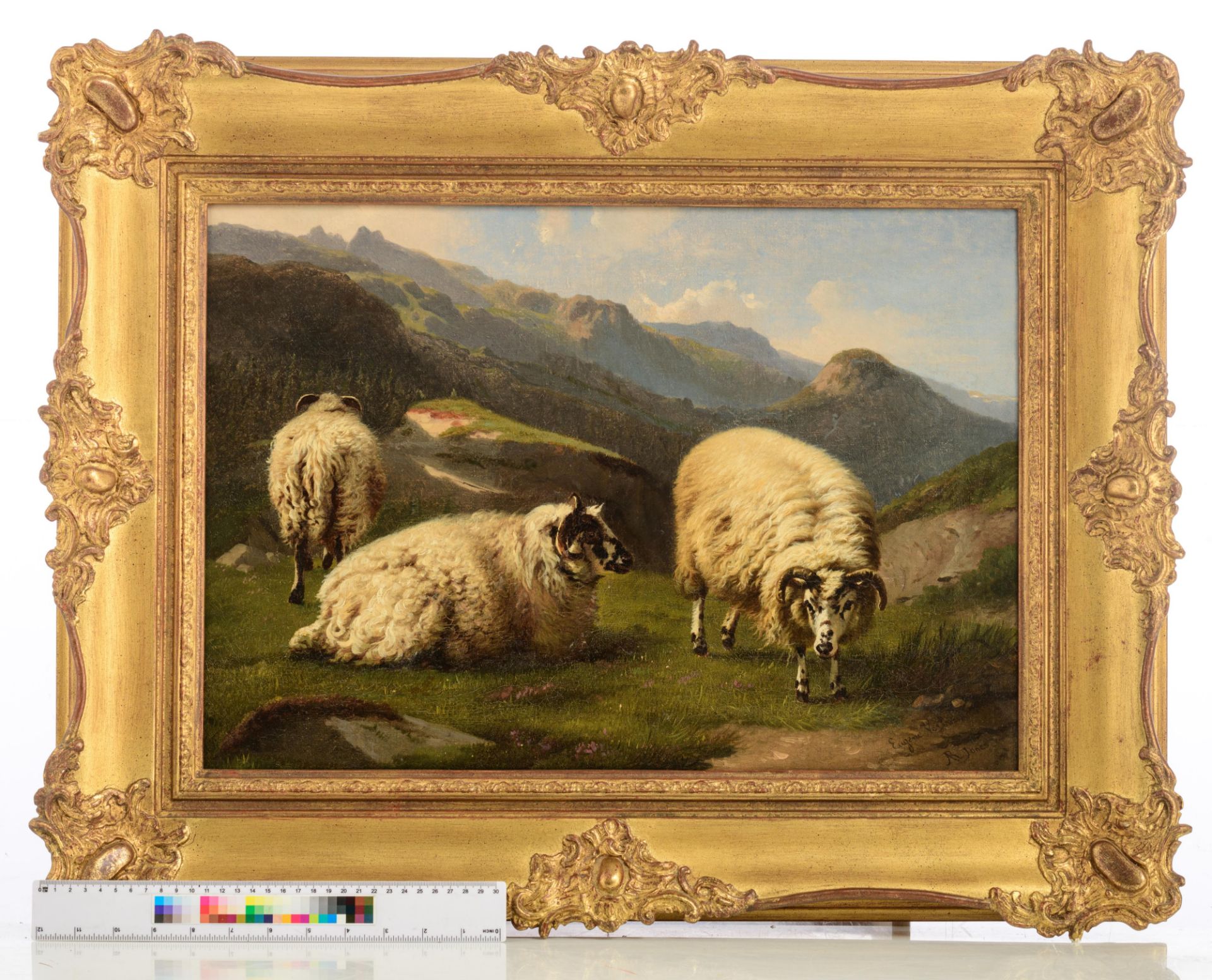 (Verboeckhoven E.) and Jones R., sheep in a mountainous landscape, oil on canvas, 39,5 x 56,5 cm - Image 8 of 8