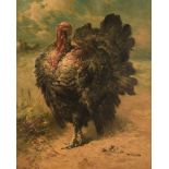 Shouten H., the turkey, dated 1900, oil on canvas, 81 x 100 cm