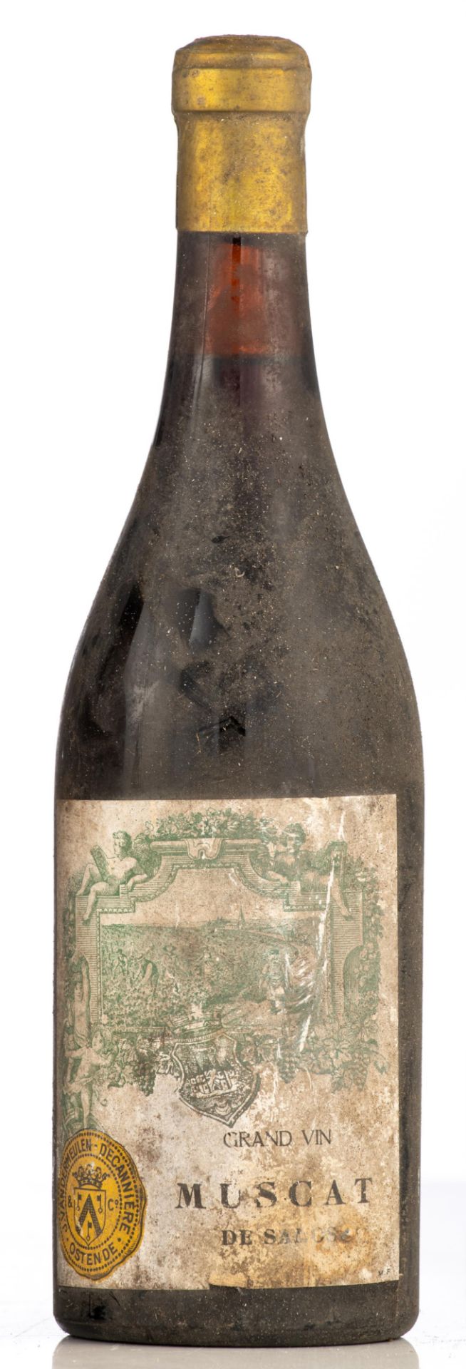 A series of J. Vandermeulen - DecanniŠre (Ostend - Belgium) bottled wines, 17 standard bottles Musca - Bild 3 aus 13
