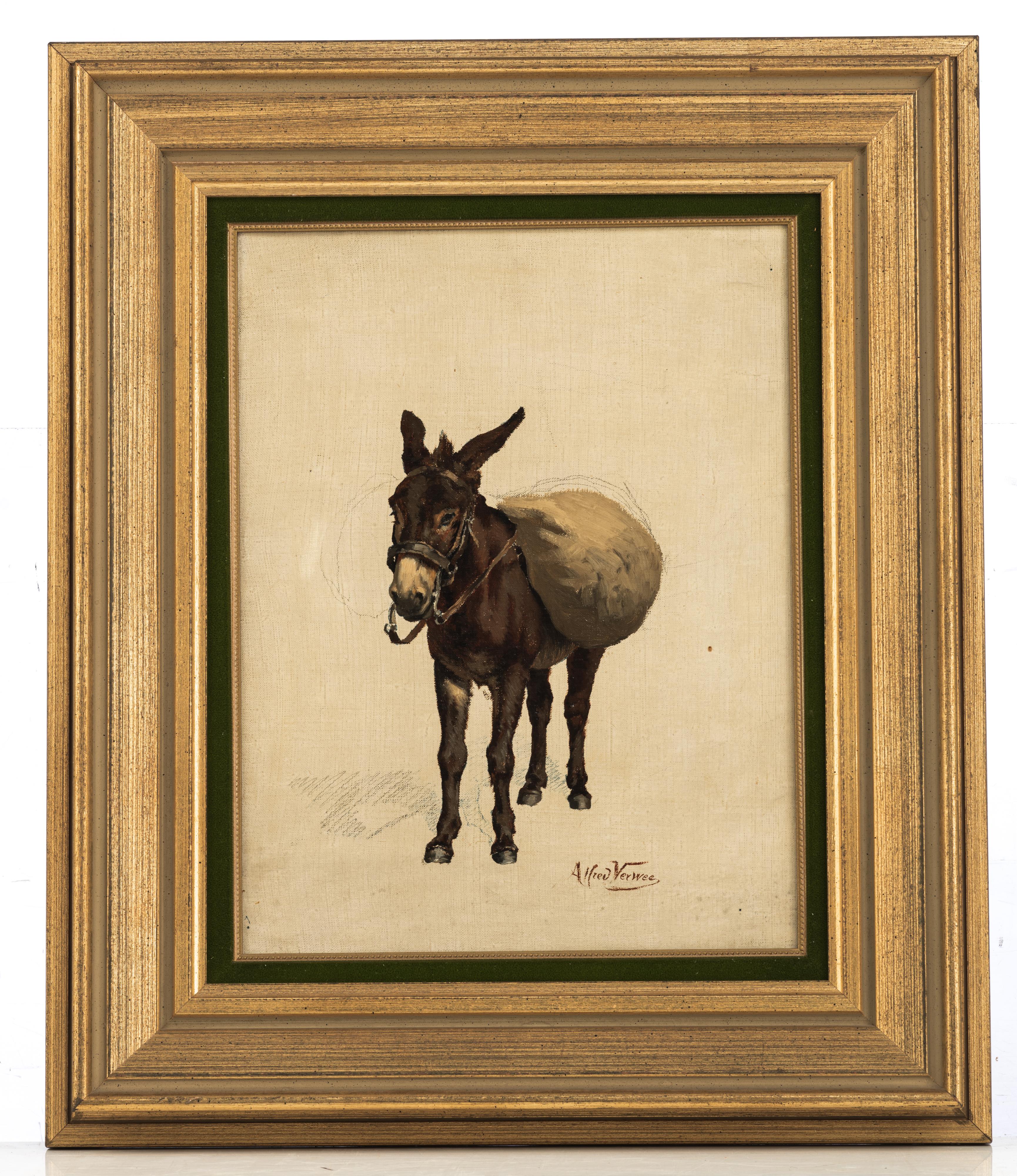 Verwee A., the packed donkey, an oil and pencil sketch on canvas, 27,5 x 35,5 cm - Image 2 of 7
