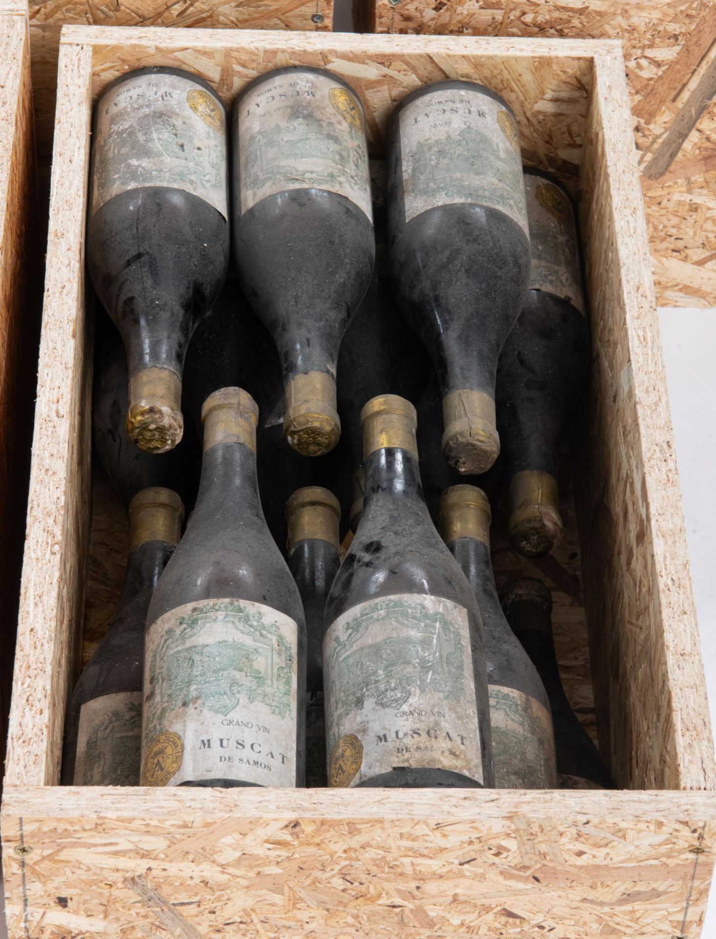A series of J. Vandermeulen - DecanniŠre (Ostend - Belgium) bottled wines, 17 standard bottles Musca - Bild 13 aus 13