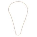 A knotted pearl 'sautoir' necklace, matinée length (47 cm x2)