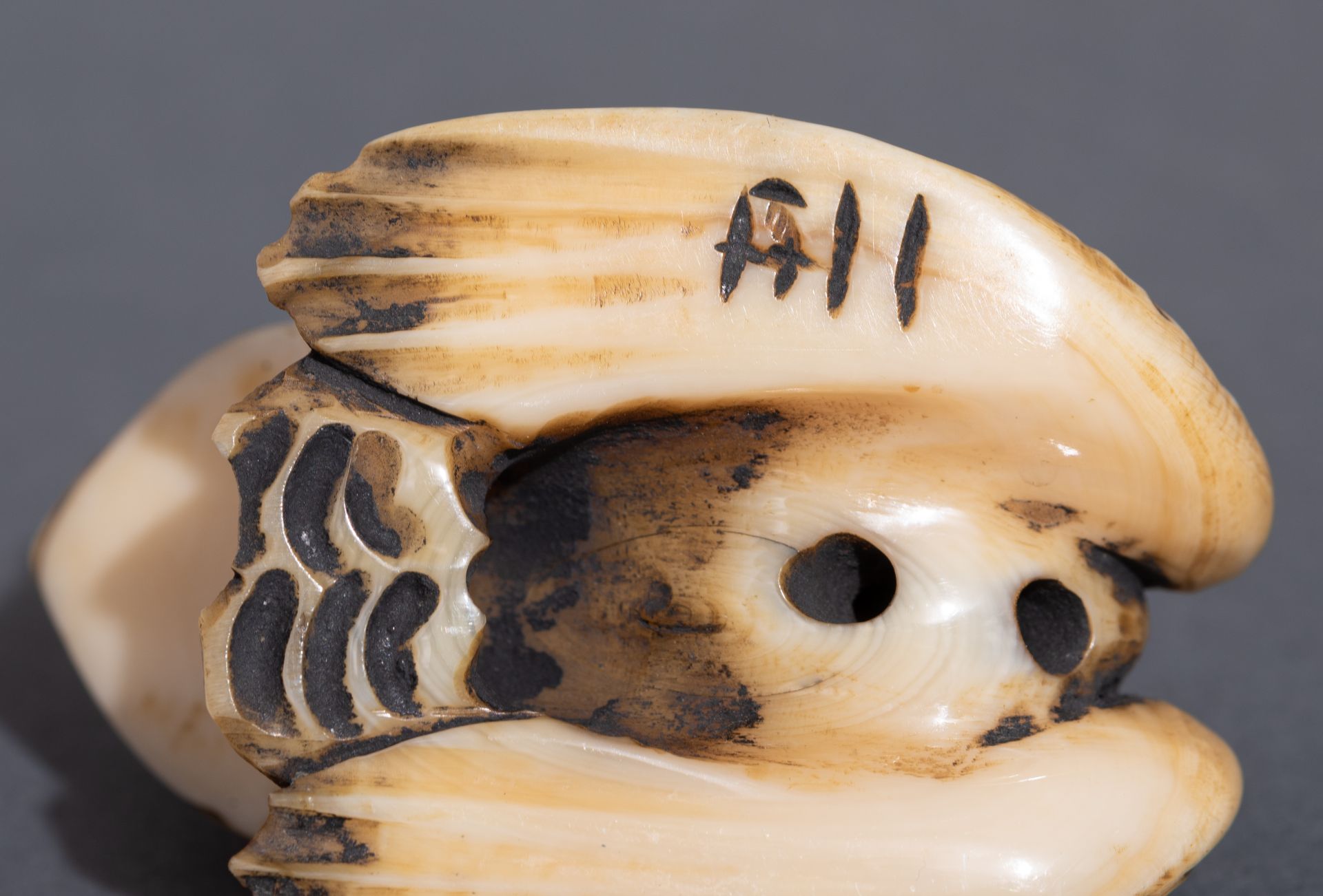 Eight Japanese Meiji-, Taishô- and early Showâ-period ivory netsuke, W 3 - 3,5 - 3,7 (2) - 3,9 - 4,1 - Image 11 of 20