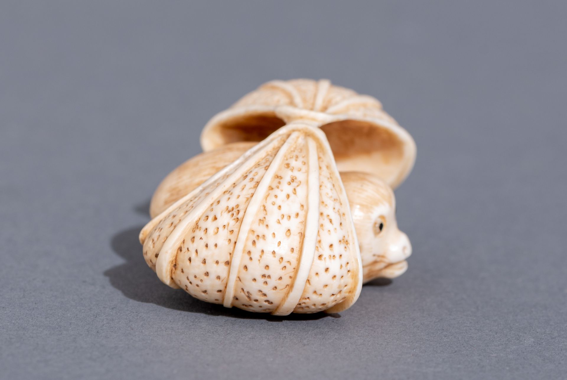 Five various Japanese early Meiji period netsuke, H 3,1 - 3,2 - 4,6 cm / W 3,6 cm - Image 15 of 19