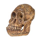 An engraved Dayak chimpanzee trophy skull, measure when lying flat: 21,5 cm