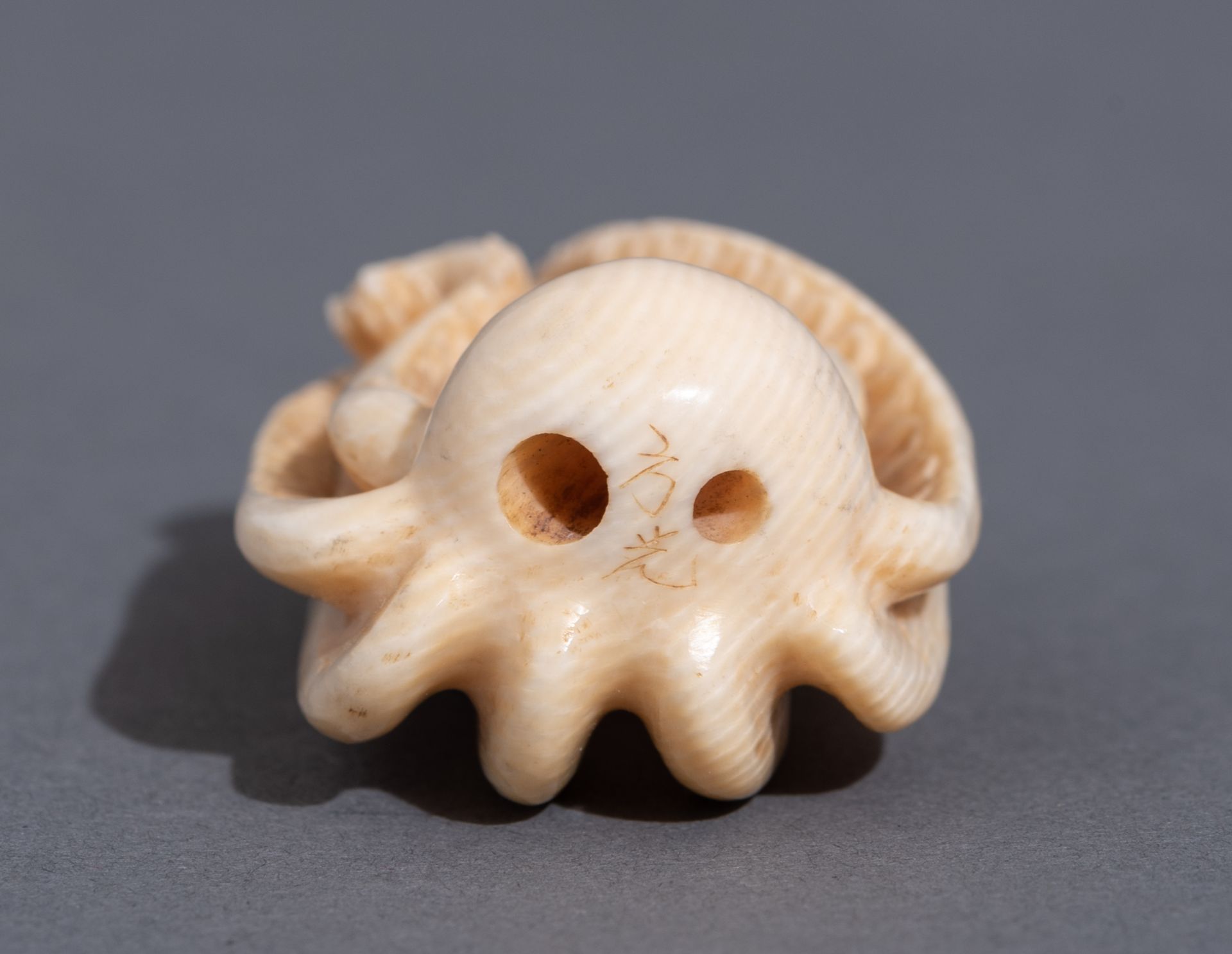 Five various Japanese early Meiji period netsuke, H 3,1 - 3,2 - 4,6 cm / W 3,6 cm - Image 11 of 19