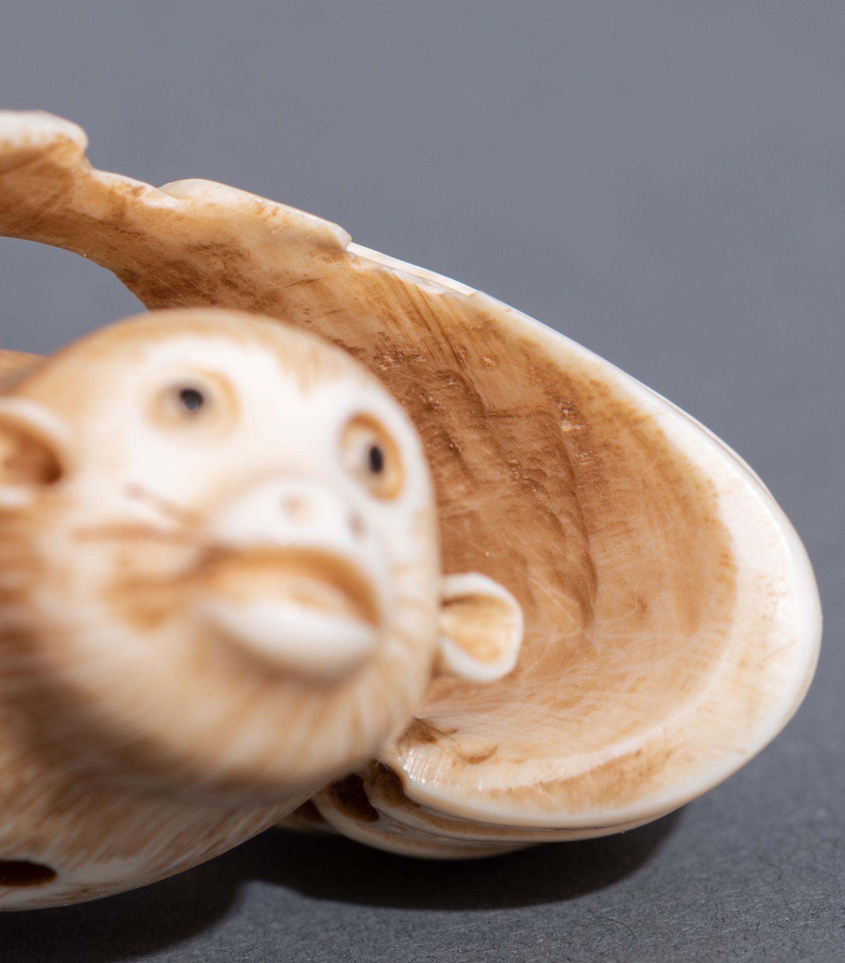 Five various Japanese early Meiji period netsuke, H 3,1 - 3,2 - 4,6 cm / W 3,6 cm - Image 19 of 19