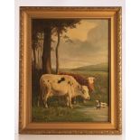 (Henri Schouten), cows in a landscape, oil on canvas, 60 x 80 cm