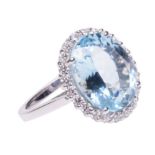 An 18ct white gold ring, central set with an oval faceted aquamarine (7.00ct) and 22 brilliant-cut d