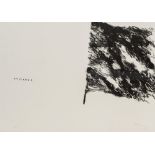 Armando (1929-2018), 'Fahne', etching, N° 9/35, 56,5 x 78,5 cm
