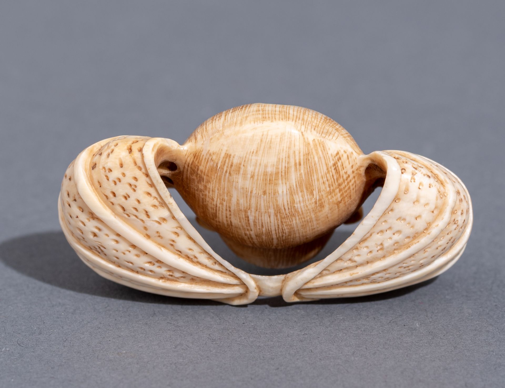 Five various Japanese early Meiji period netsuke, H 3,1 - 3,2 - 4,6 cm / W 3,6 cm - Image 17 of 19