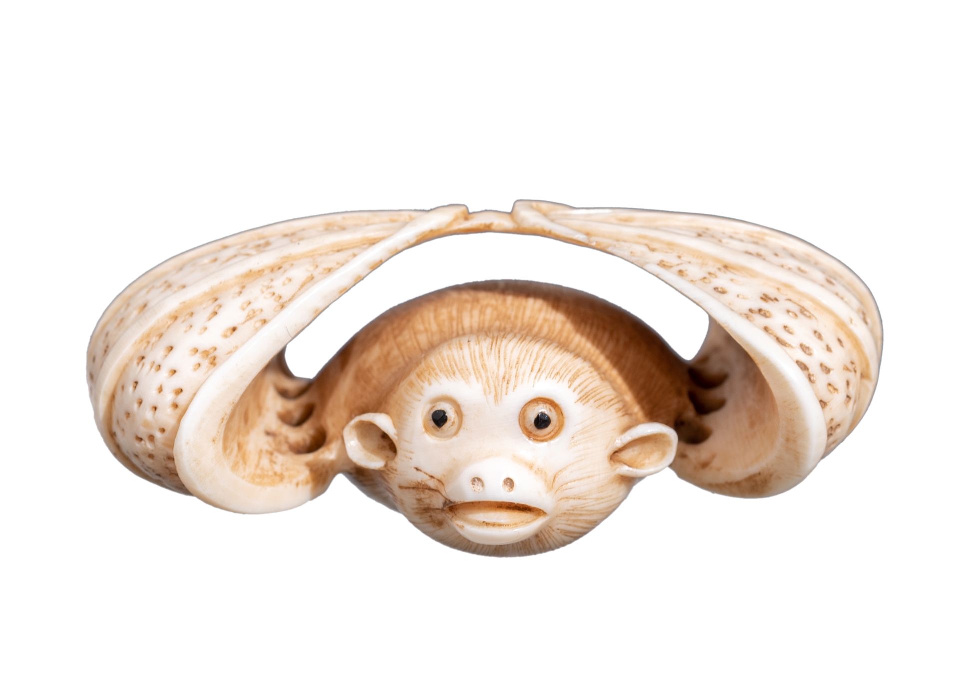 Five various Japanese early Meiji period netsuke, H 3,1 - 3,2 - 4,6 cm / W 3,6 cm - Image 12 of 19