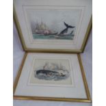 19 th C Whaling Rouargue after Morel Handcoloured Aquatint ?peche de la balene ?, ?France Maritime ?