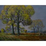 John Revell (XX) Oil on board ?Autumn Elms near Leverstock Green ? Signed lower right and titled ,