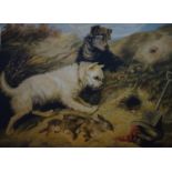 RMW 1865 Large hand coloured aquatint after George Armfield Rabbiting on dunes with terrier dogs