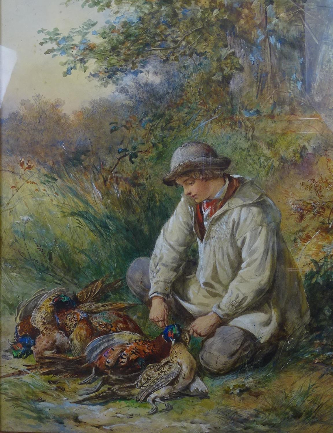 James Hardy Jnr (1832-1882) (James II Hardy ) Watercolour with gouache highlights The Young