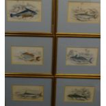 William Home Lizars (1788-1859) Scottish after James Stewart XIX A set of 6 Hand Coloured Steel