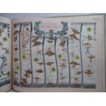 Book of Maps- After John Ogilby (1600-1676) -Strip maps Published ( reprinted )by Alexander
