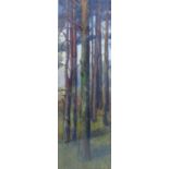 Gordon L Grimwade XX Watercolour Tall Spruce pine trees in the Pre-Raphalite manner Signed lower