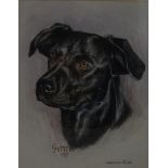 Alexandra Jacobs XX Indian ink and Gouache ' Gemma 1987' head portrait of the Labrador gundog