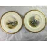 Coalport hand painted plates - a pair of PH Simpson hand painted plates of ? Snipe ? and Woodpigeon?