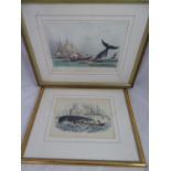 19 th C Whaling Rouargue after Morel Handcoloured Aquatint ?peche de la balene ?, ?France Maritime ?