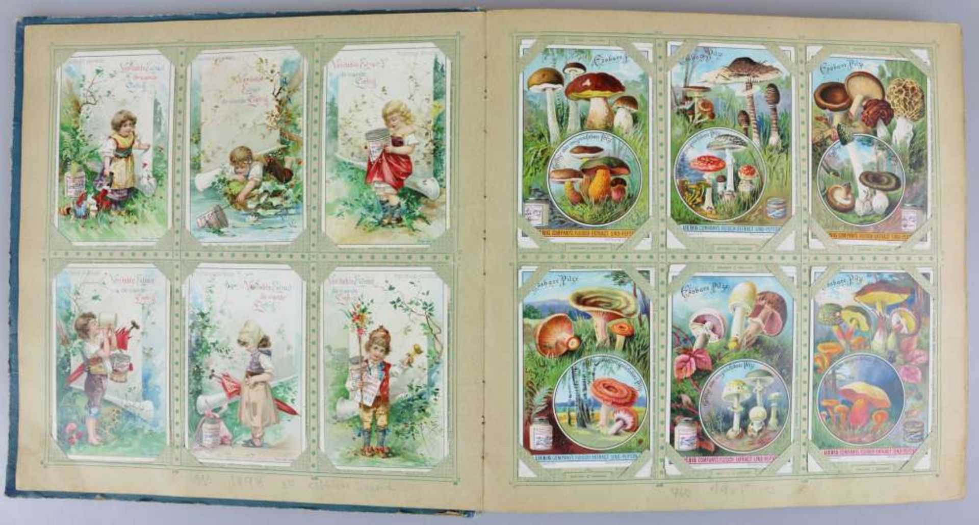 Liebig-Bilder-Album mit 323 chromolithogr. Sammelbildern, um 1900. - Bild 3 aus 5