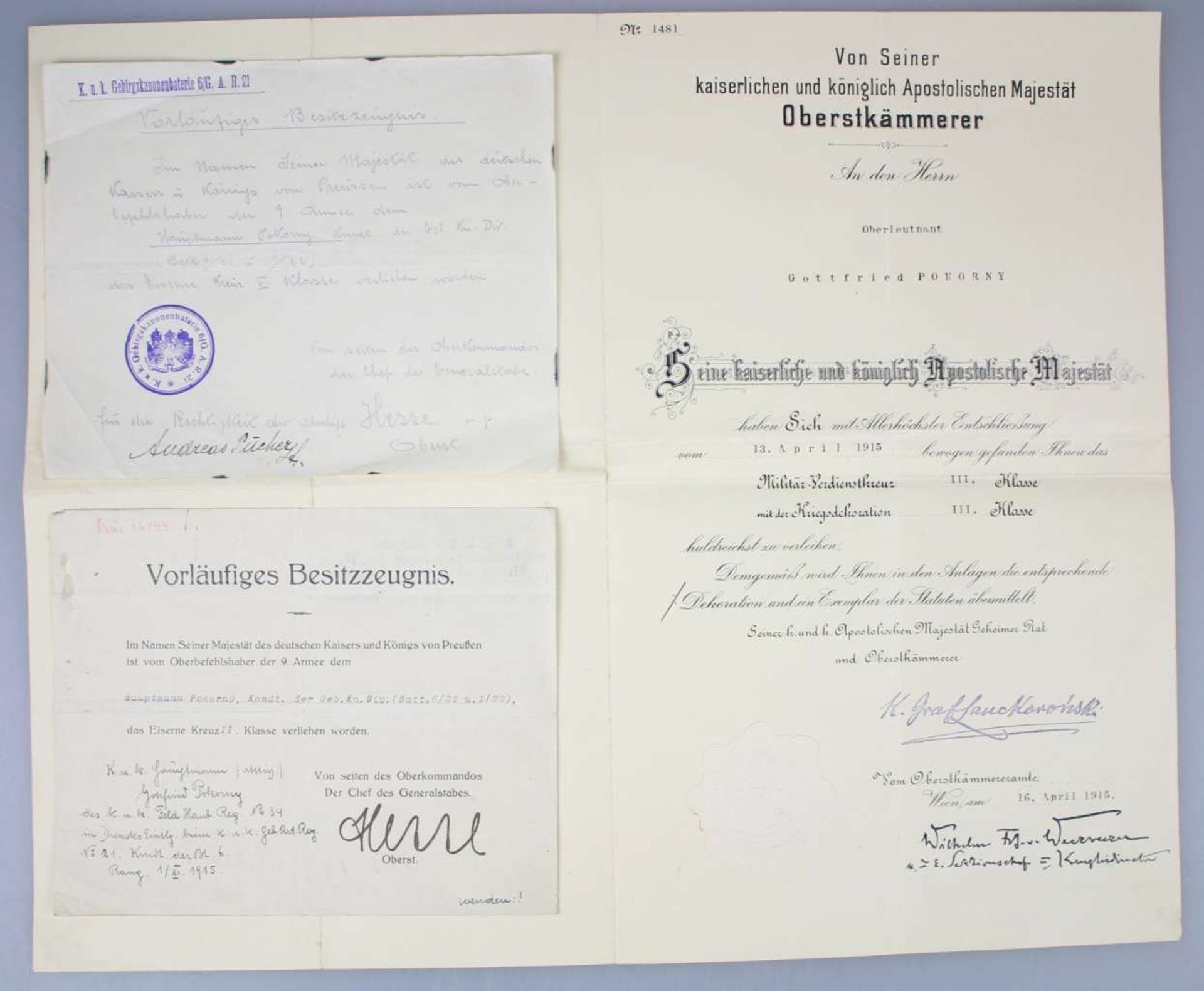 Orden und Urkunden Nachlass des K.u.K. Hauptmannes Gottfried Pokorny - Bild 5 aus 11