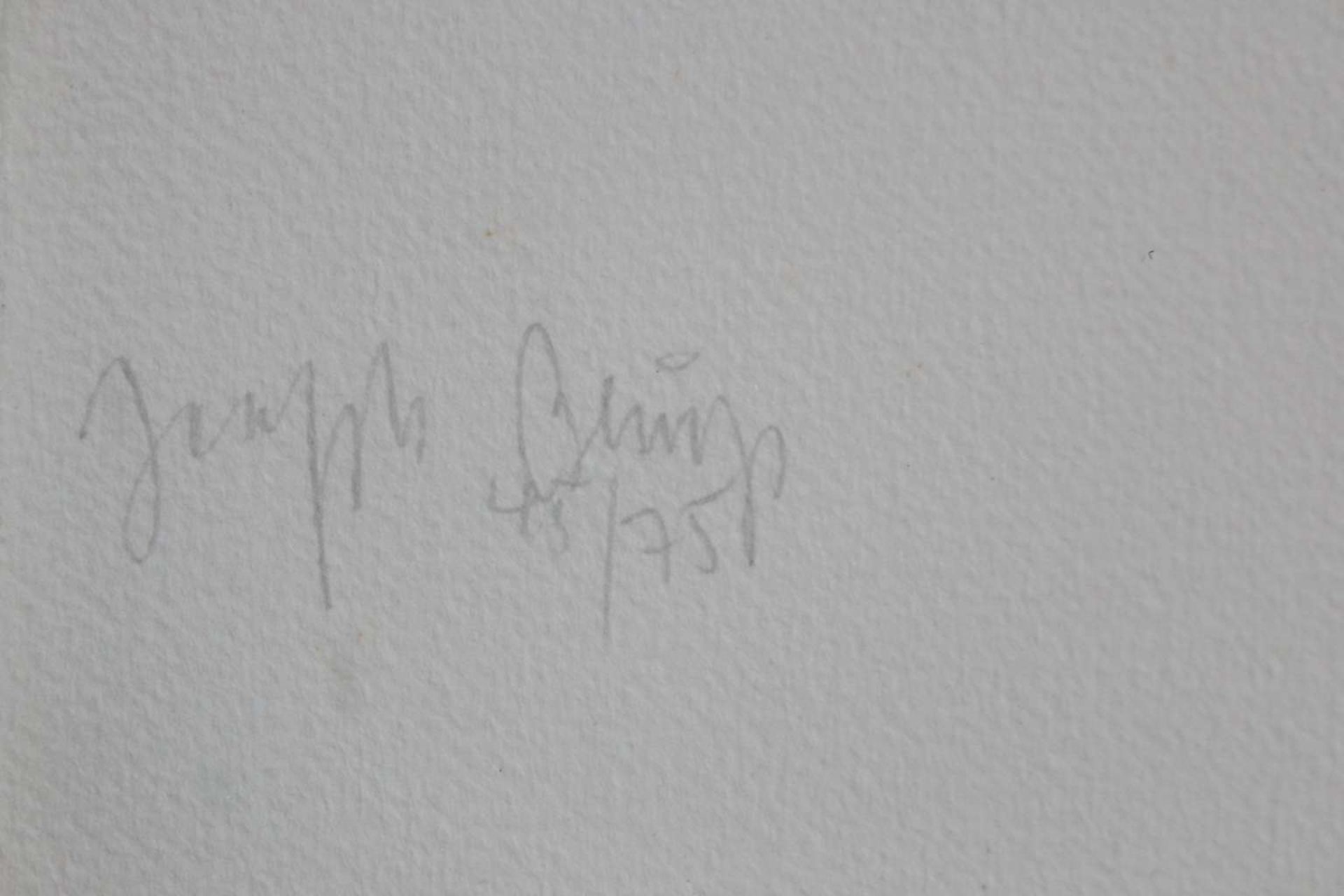 Beuys Grafik - Image 3 of 3