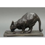 Bronze, "Schleckende Katze", neuzeitlicher Guss, 20 x 33 x 18 cm