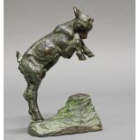 Bronze, grünschwarz patiniert, "Steigender Geißbock", auf der Standfläche Gießerstempel Kunstgu