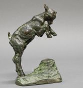 Bronze, grünschwarz patiniert, "Steigender Geißbock", auf der Standfläche Gießerstempel Kunstgu