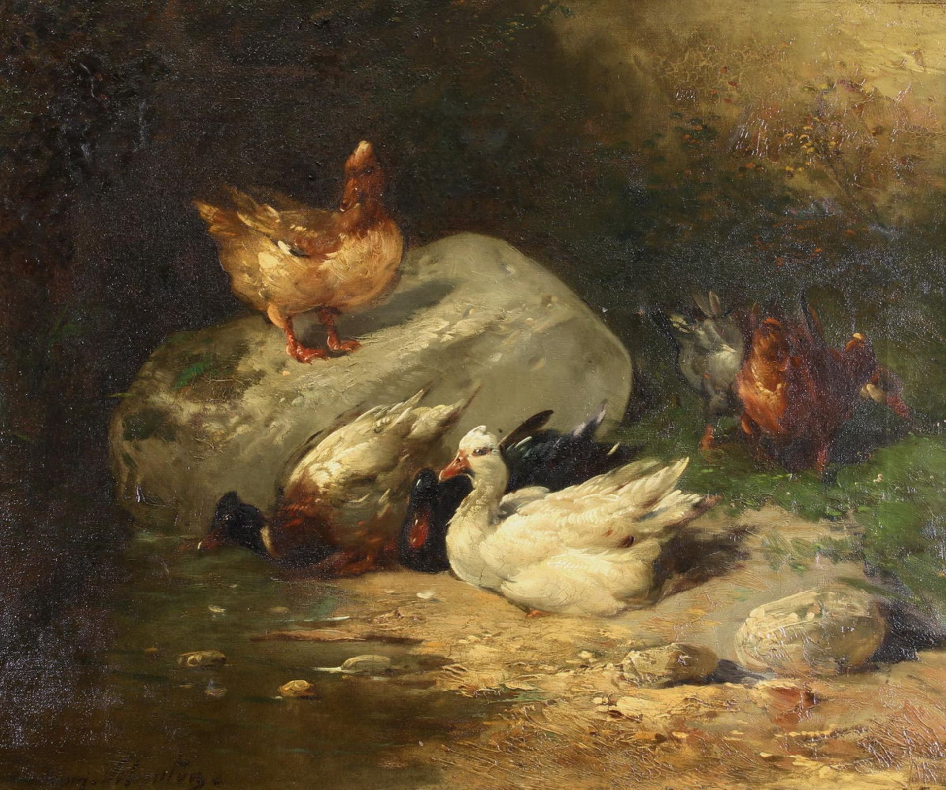 Schouten, Henry (1864 Indonesien - 1927 Gent), womöglich, "Federvieh am Wasser", Öl auf Leinwand,