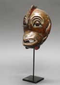 Tanzmaske, "Garuda", Java, 19./20. Jh., Holz, geschnitzt, Reste von farbiger Bemalung, 20.5 cm hoch