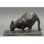 Bronze, "Schleckende Katze", neuzeitlicher Guss, 20 x 33 x 18 cm