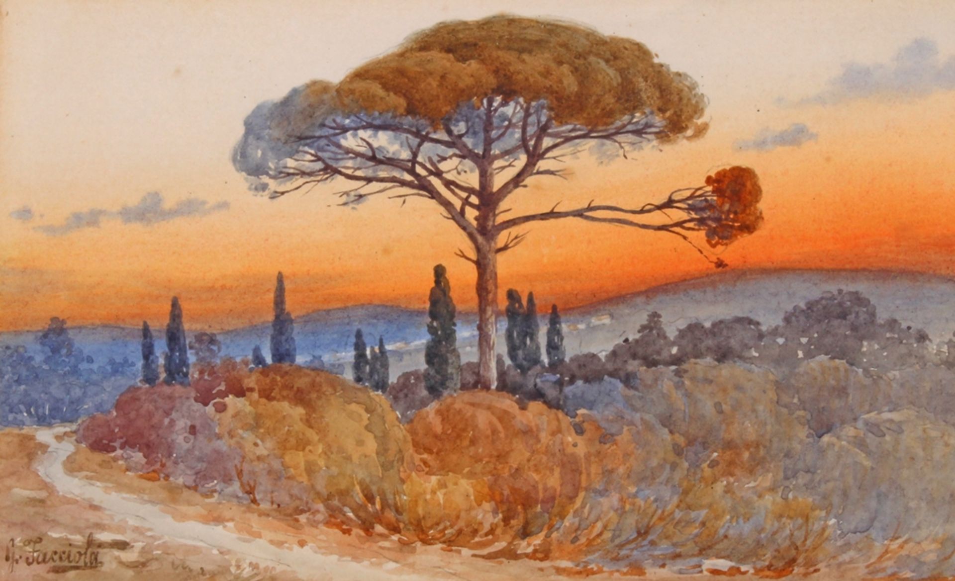 Facciola, Geatano (1868 - 1949),