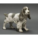 Porzellanfigur, "Cocker Spaniel", Bing & Gröndahl, Modellnummer 2095, polychrom, 15.5 cm hoch.