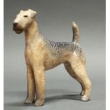 Porzellanfigur, "Airedale Terrier", Royal Kopenhagen, 2. Wahl, Modellnummer 3139, polychrom, Modell