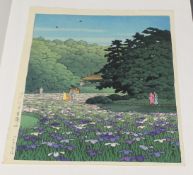 Farbholzschnitt, "Kagoshima Sakurajima", Japan, 1951, Kawase Hasui (1883-1957), Iris-Garten am Meij