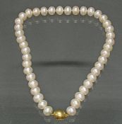 Perlenkette, 42 Button-Südseeperlen ø 12 mm, gutes Lüster, Elipsenschließe GG 750, 45 cm lang