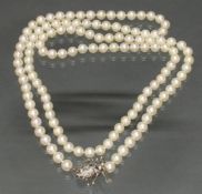 Perlenkette, 123 Akoya-Zuchtperlen ø ca. 8.3 mm, gutes Lüster, Schließe 'Spinne', WG 585, 9 kleine 
